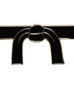 AWMA Karate Belt Pin Lapel Pins