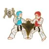 AWMA Lapel Pins Sparring Pin
