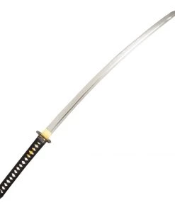 AWMA Black Sword W/ Dragon Hand Guard