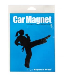 Dev-awma ACCESSORIES Martial Arts Magnet