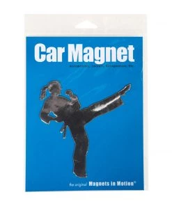 Dev-awma ACCESSORIES Martial Arts Magnet