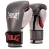 Dev-awma Everlast Powerlock Pro Hook And Loop Training Glove Training Gloves