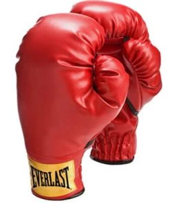 Dev-awma Everlast Laceless Boxing Training Gloves