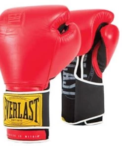Dev-awma Everlast 1910 Classic Training Gloves
